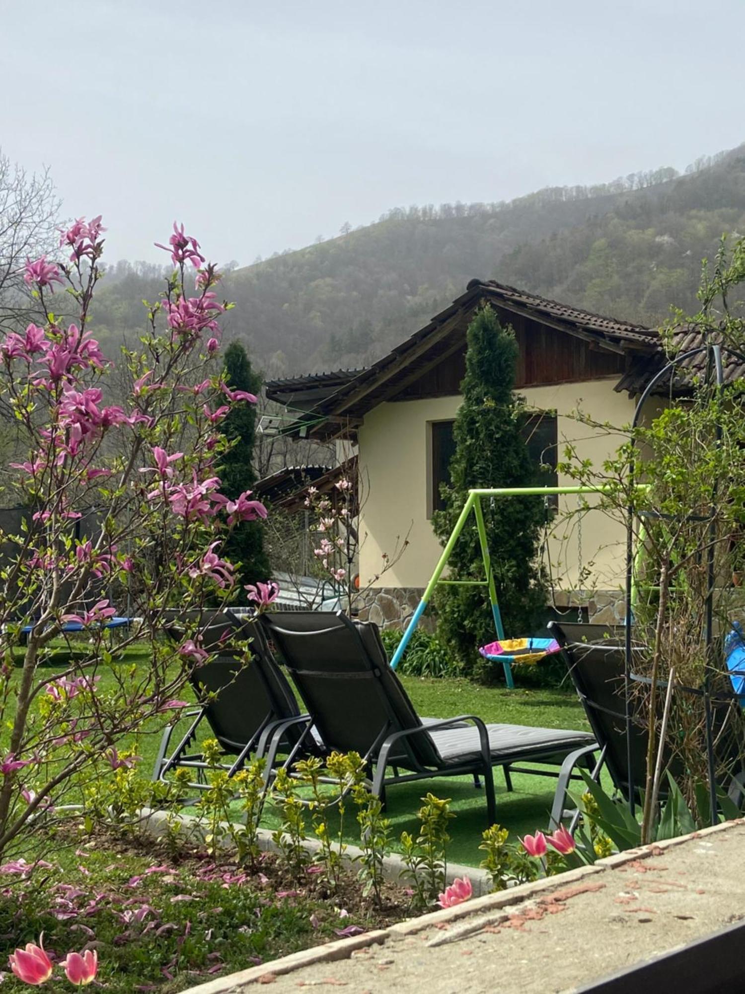 Guest House Rest Cherni Osum Ngoại thất bức ảnh